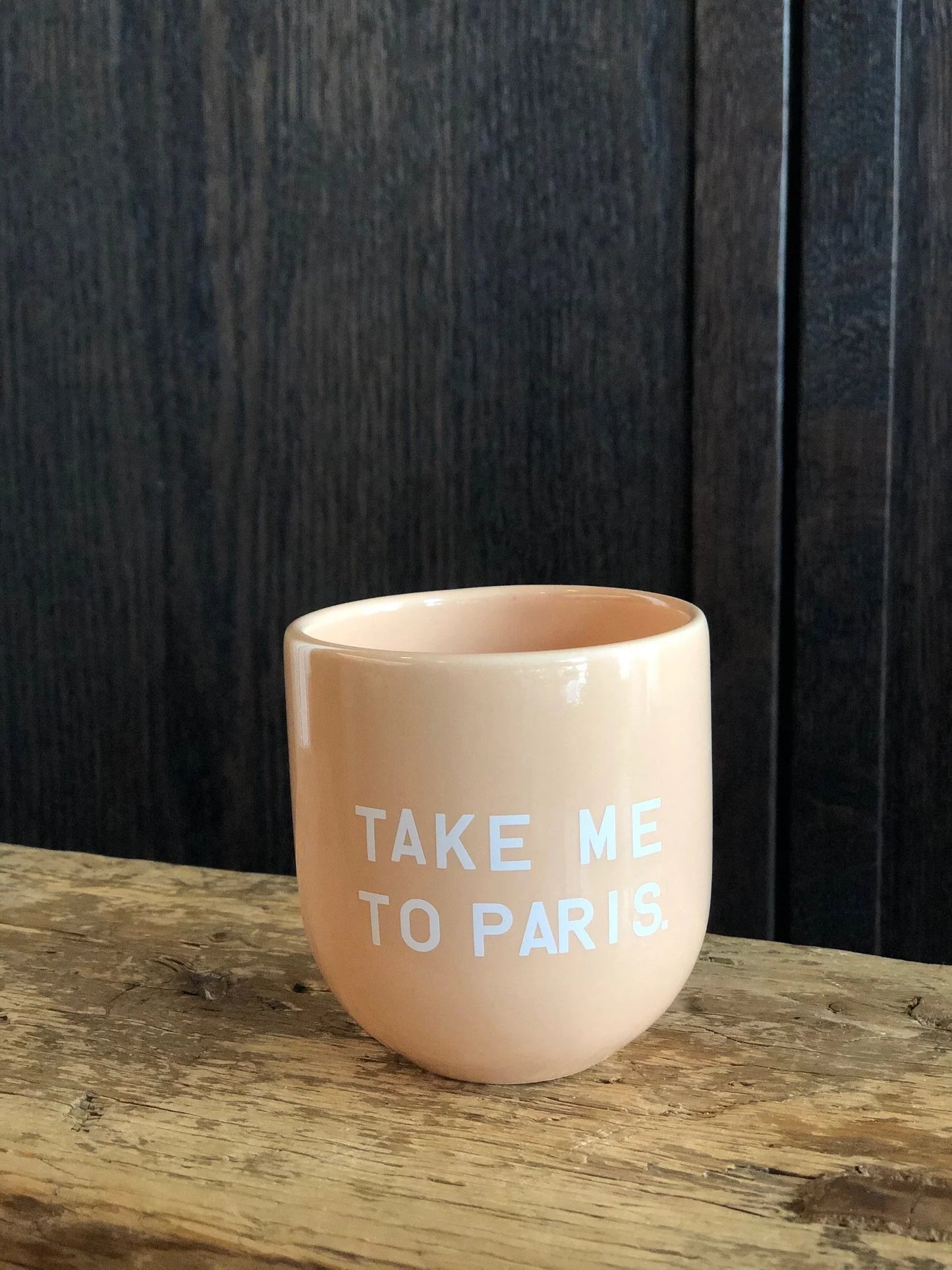 SISI BECHER - TAKE ME TO PARIS