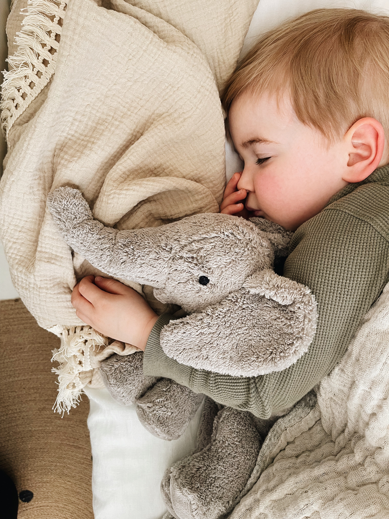 KUSCHELTIER - ELEFANT