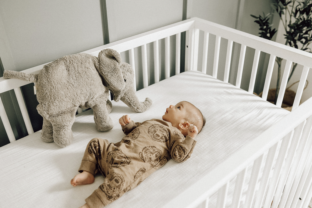 KUSCHELTIER - ELEFANT