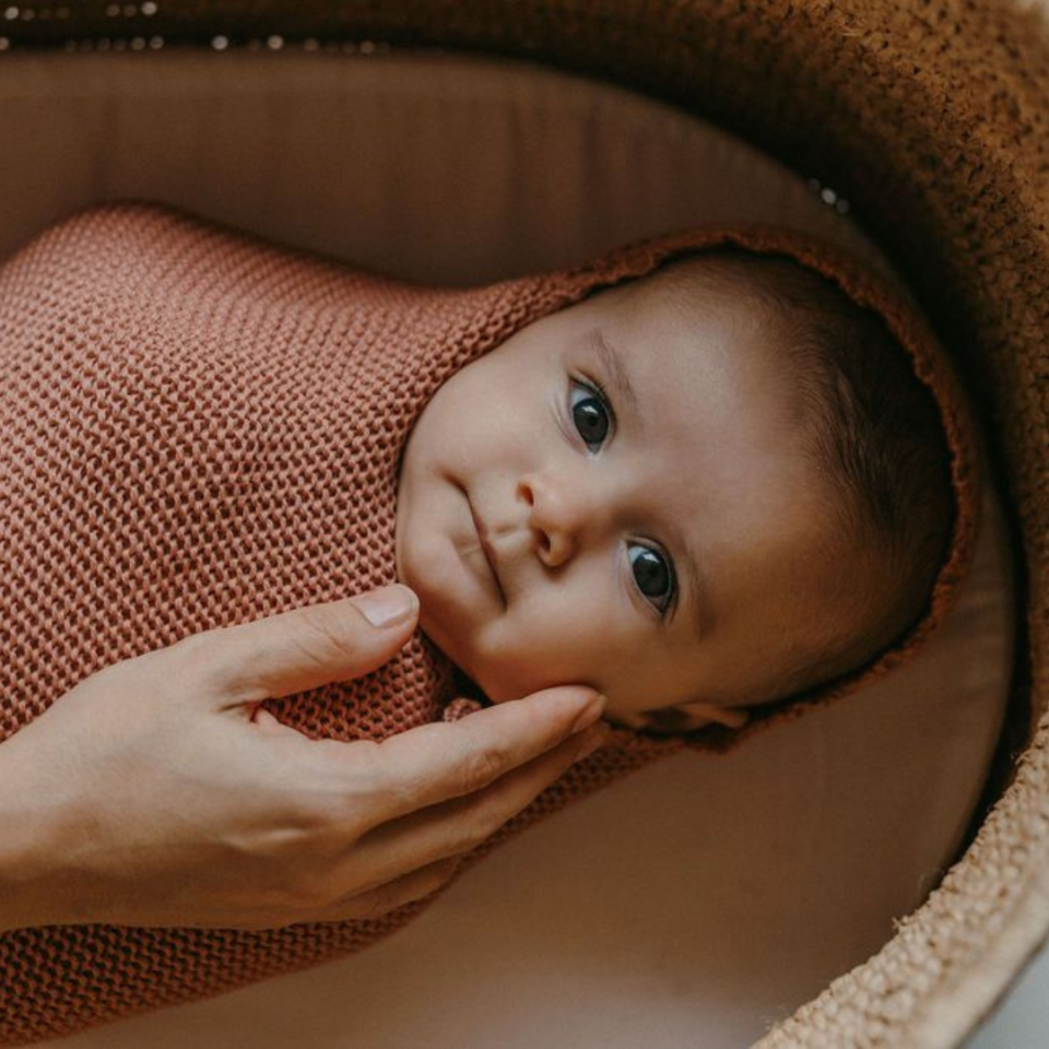 BABY COCOON - DARK ROSE